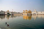 Amritsar - the Golden Temple - the Hari Mandir at the center of the the Pool of Nectar  